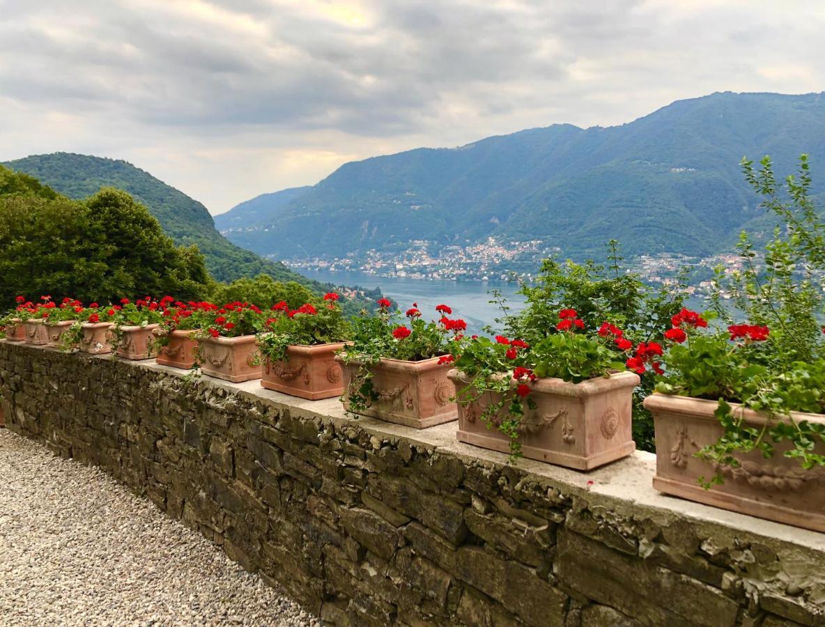 B&B Villa Le Ortensie Faggeto Lario Exteriér fotografie