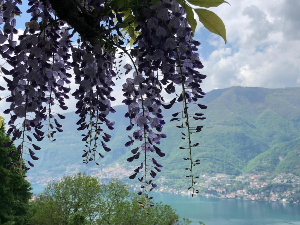 B&B Villa Le Ortensie Faggeto Lario Exteriér fotografie